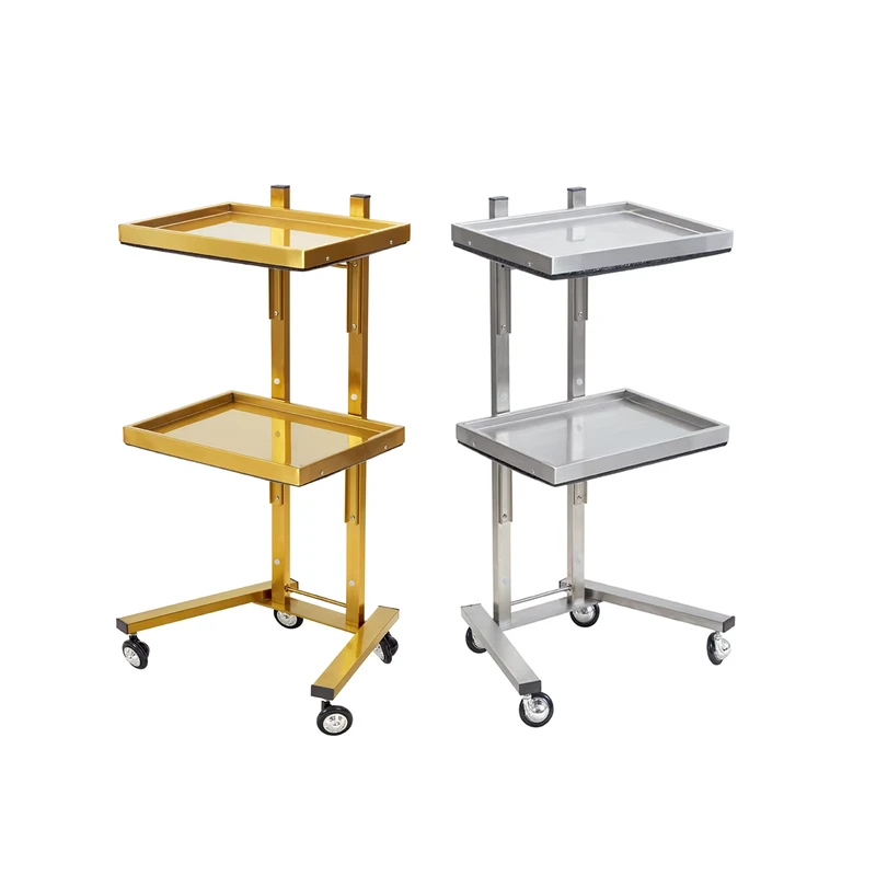 Salon Furniture Foldable Mobile Beauty Salon Trolley Cart Hairdresser Barber Trolley for Hair Salon Station