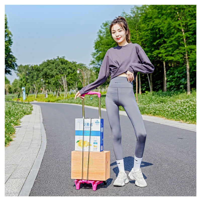 Shopping Luggage Cart and Trolley Shopping Cart with Shopping Trolleys Carts Mechanism