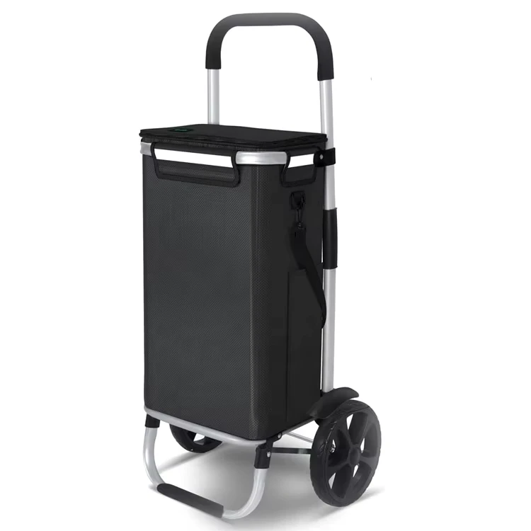 Shopping Trolley with 2 Wheels Foldable Aluminium Trolley Shopping Cart 3 in 1 with Separate Cooler Bag