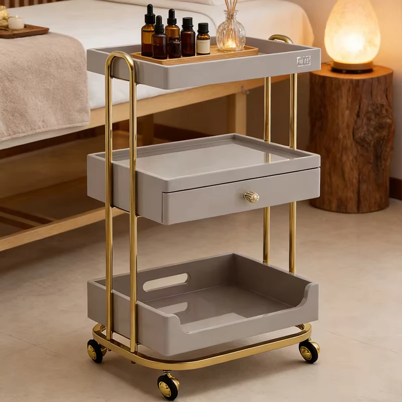 Special Trolley Cart Mobile Drawer Storage Rack for Hair Salon Tool Cabinet for Tattoo & Nail Salon Cabinet Living Room