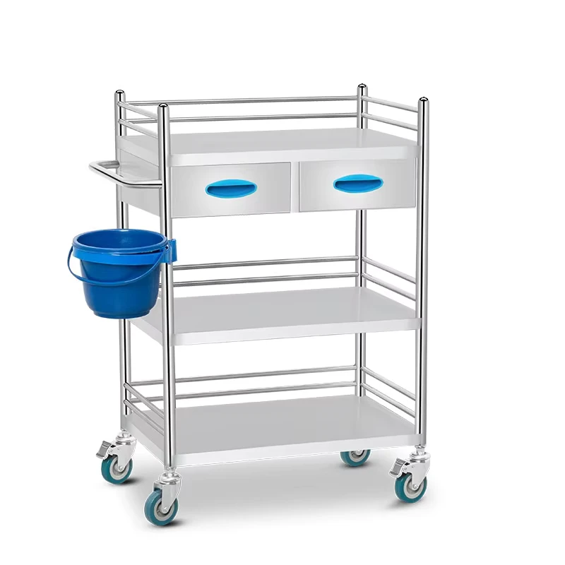 Stainless Steel Double Drawer 4 Wheel Modern Design Multifunctional Beauty Salon Storage Trolley Hand Gym Living Room