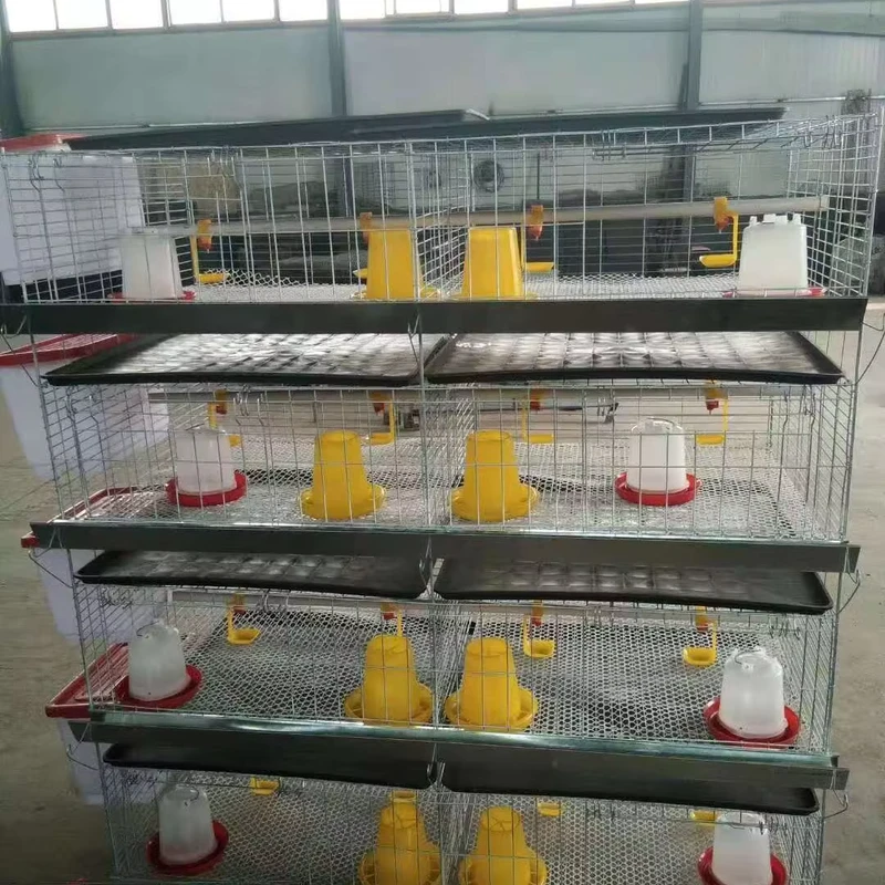 Stainless Steel H Type Chicken Broiler Cages Automatic Animal Layer Chicken Cage for 1000 Birds Poultry Farm Use