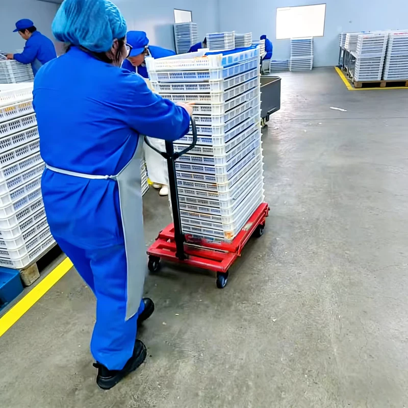 Stainless Steel Platform Egg Crate Trolley Four Wheel Portable Turnover Box OEM Hand Truck Egg Logistics Solution