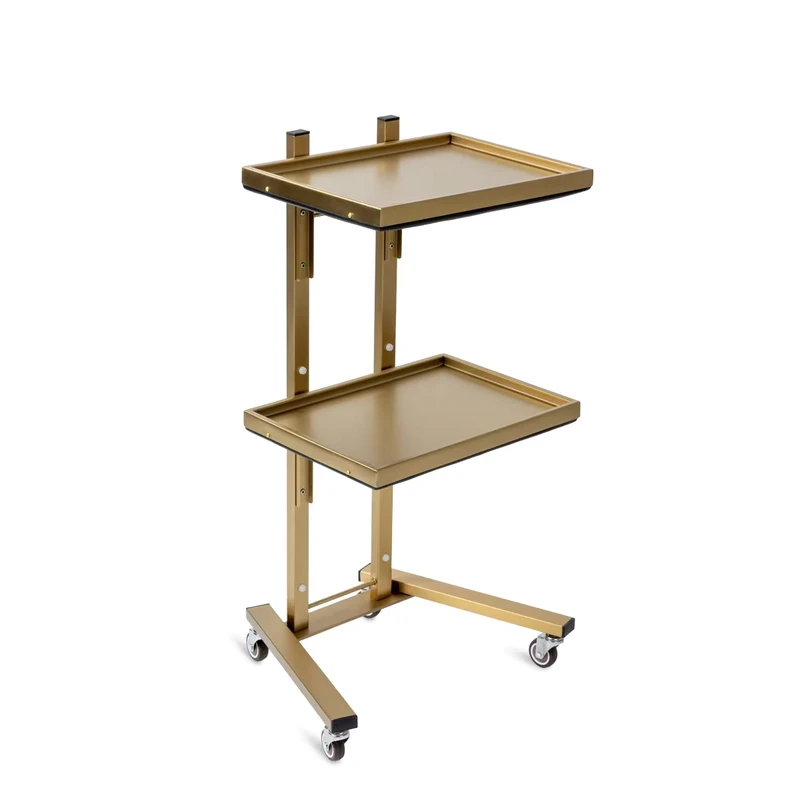 Stainless Steel Simple Movable Foldable Tray Trolley Cart with Wheels for Beauty Manicure Nail and Salon