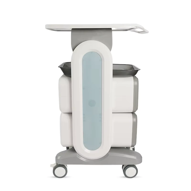 Trolley 2 Drawers ABS White Clinic Luxury Trolley Beauty Salon Trolley